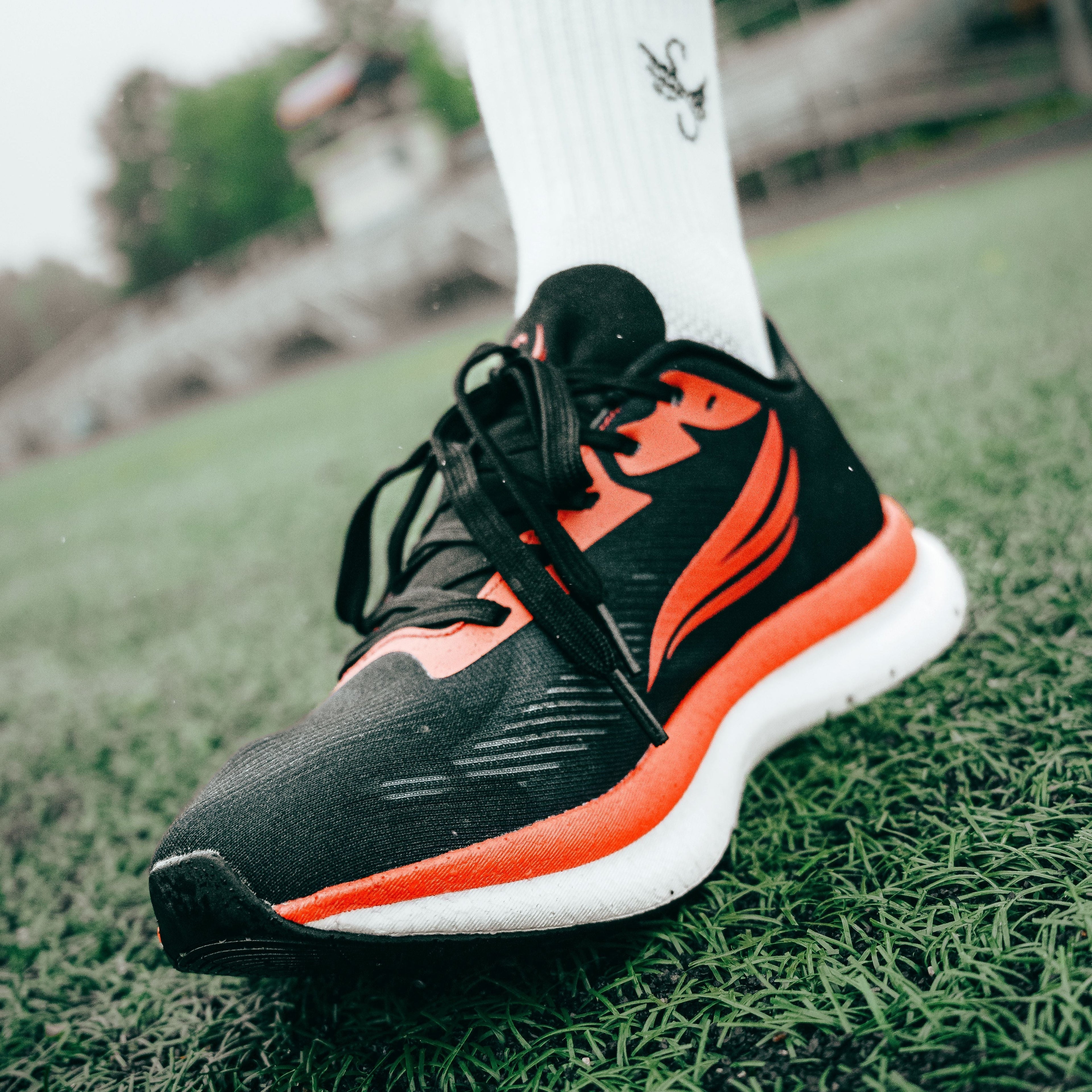 EQUUS Black Men Running Shoe Swift Running