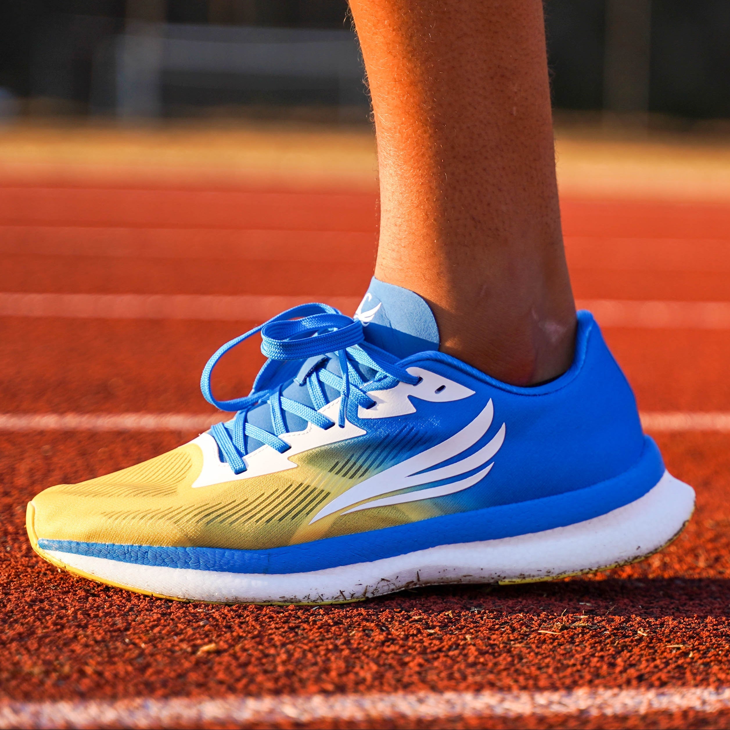 EQUUS Blue Men Running Shoe Swift Running