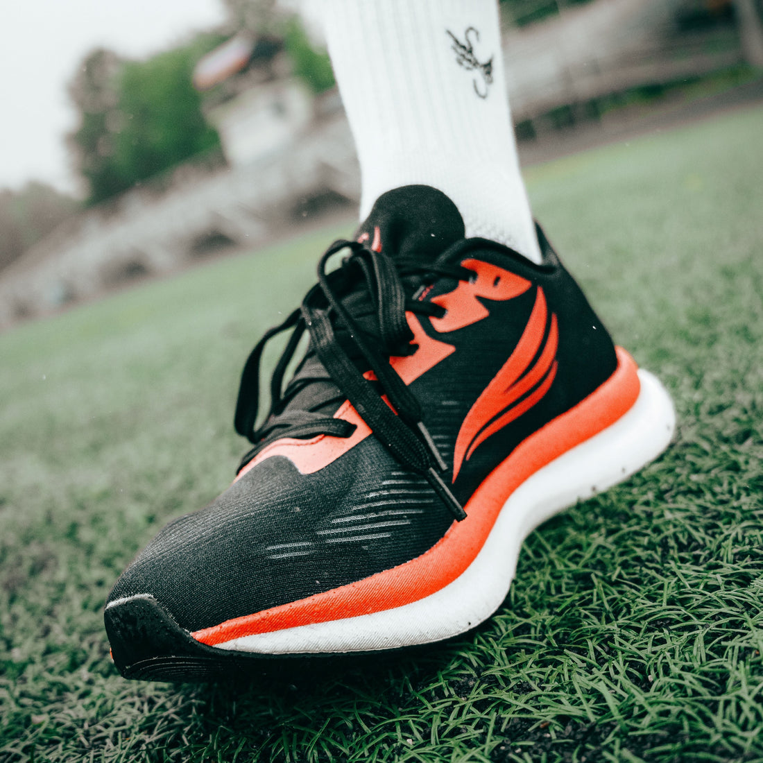 EQUUS Black Men Running Shoe Swift Running