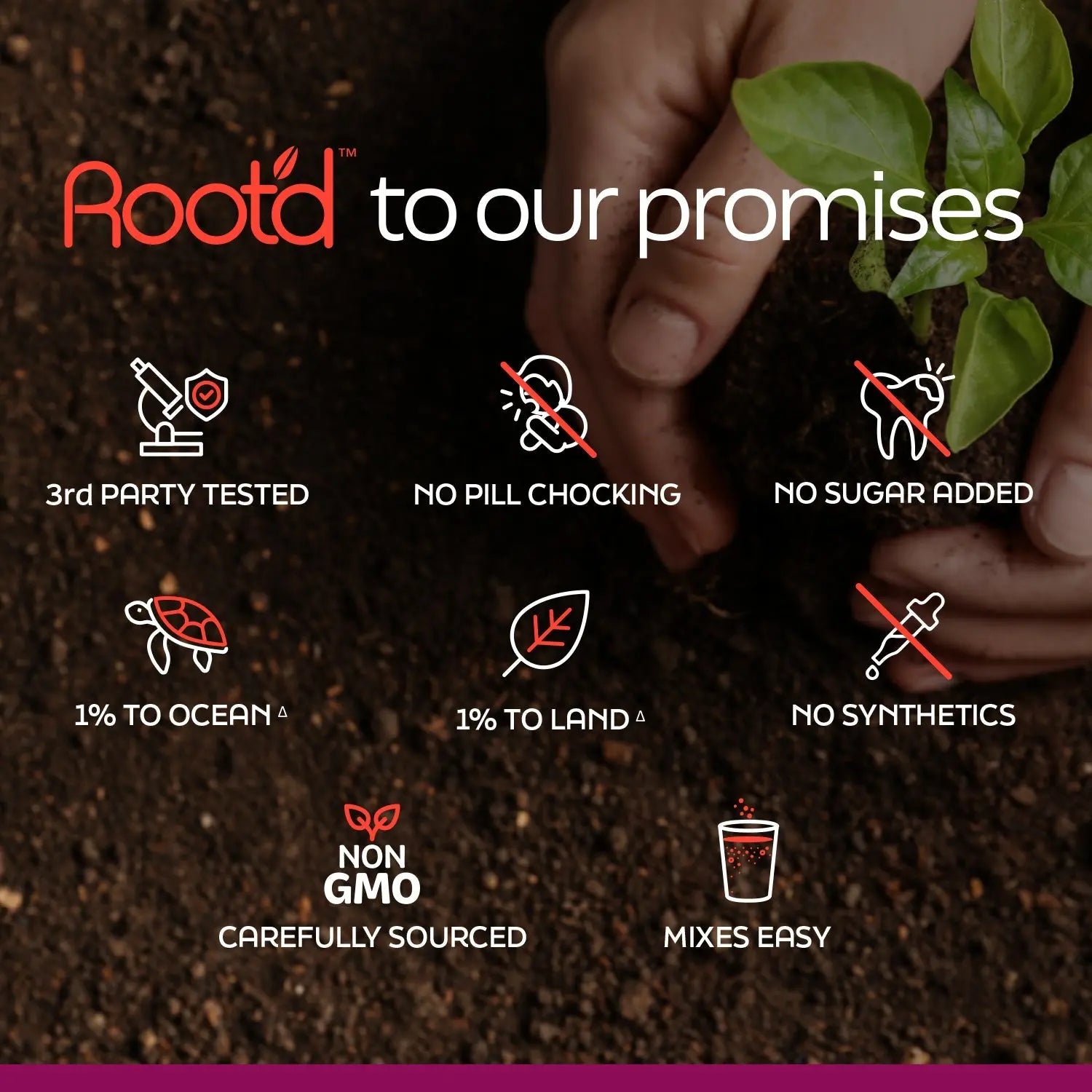 Couples’ Wellness Pack - The Hydrating Multivitamin - For Her &amp; Him Root&