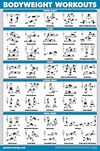 Palace Learning QUICKFIT Bodyweight Workout Exercise Poster - Body Weight Workout Chart - Calisthenics Routine - (Laminated 18" x 24") My Store